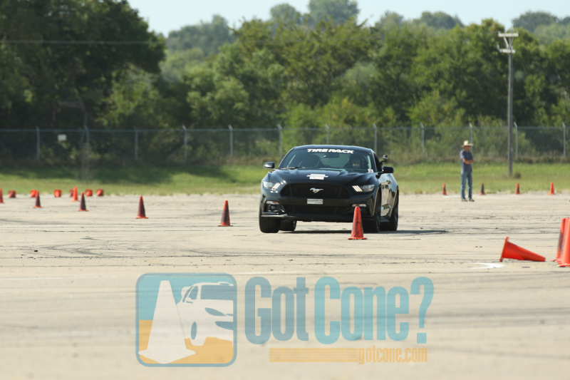 &nbsp;