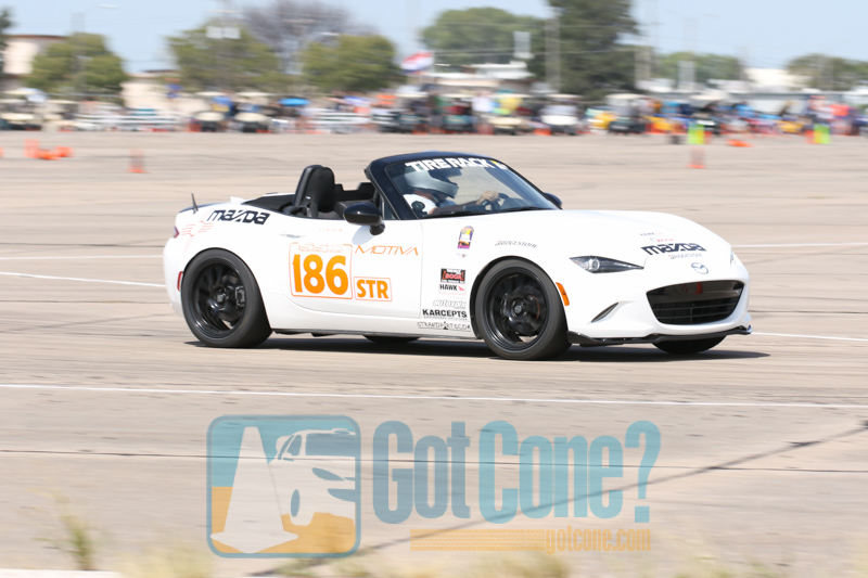 &nbsp;