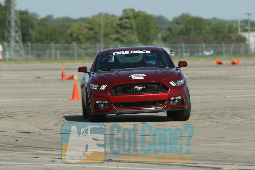 &nbsp;